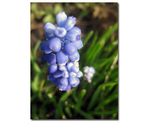 120415_1