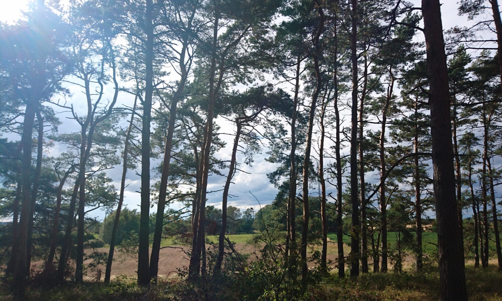 Fagerska nöjespalatset Furuboda Skåne